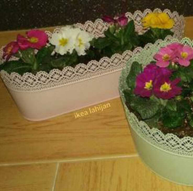 گلدان ایکیا skurar با قابلیت کاشت گل رنگ صورتی