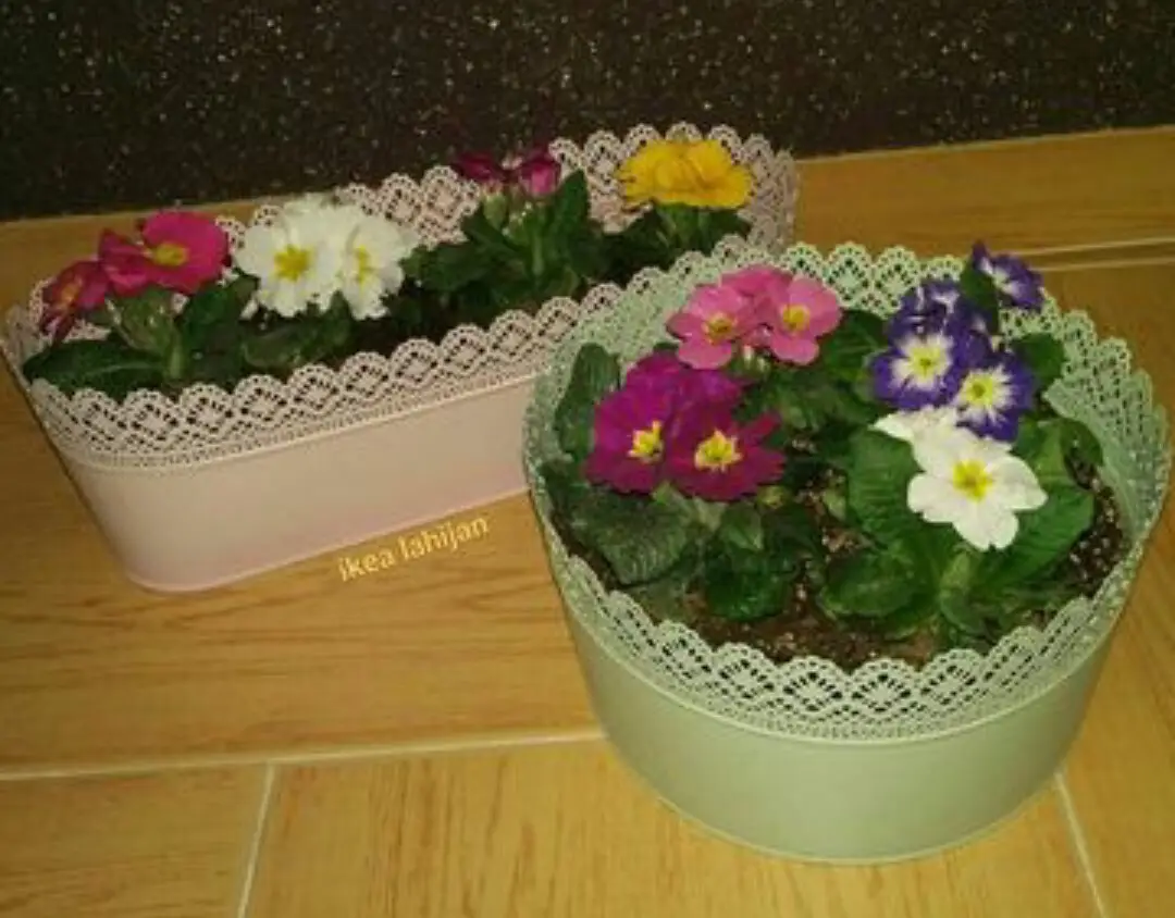  گلدان ایکیا skurar 